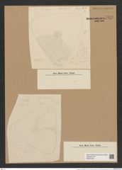 Triceratium arcticum Brightw. (de-Toni-Nr.: Genus 140, Species 3719) Zeichnungen Sammlung Grunow Nr. 7209 (NHMW-BOT-W0376198)